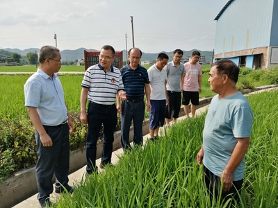 我區(qū)啟動全國五星鄉(xiāng)鎮(zhèn)農(nóng)技推廣機構(gòu)復核工作，深化農(nóng)業(yè)技術(shù)研究與應用